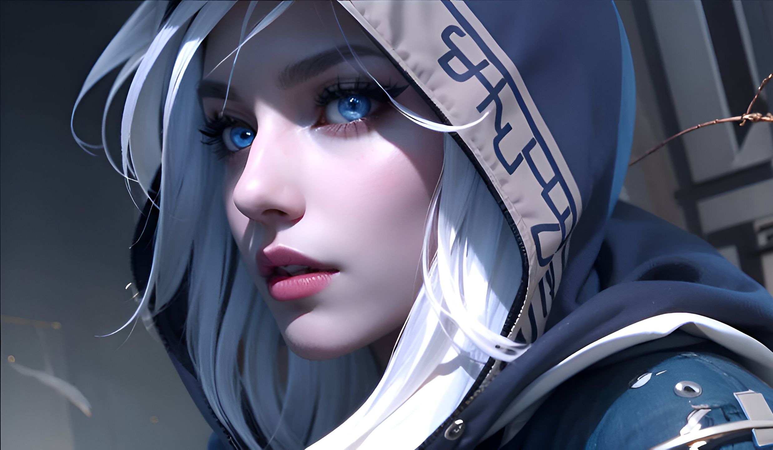 维尔在杯赛 维尔在杯赛