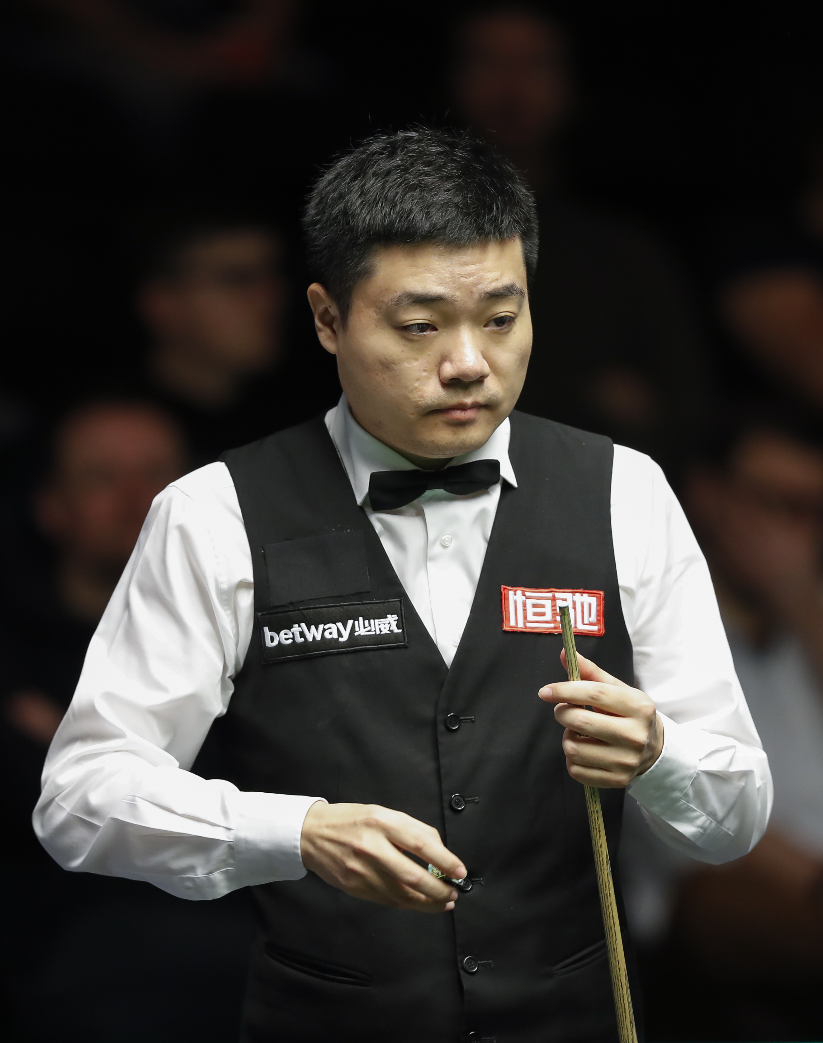 齐聚于此 齐聚于此