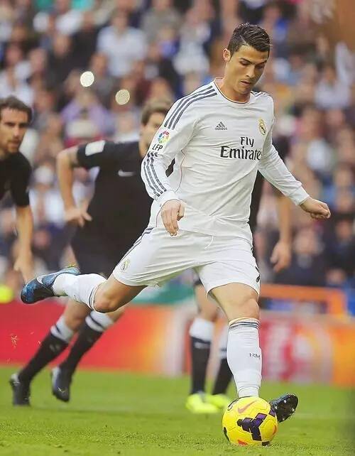 性与多样性 性与多样性