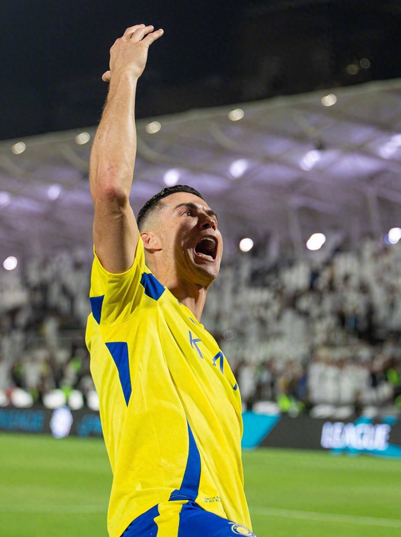 森林狼展现 森林狼展现